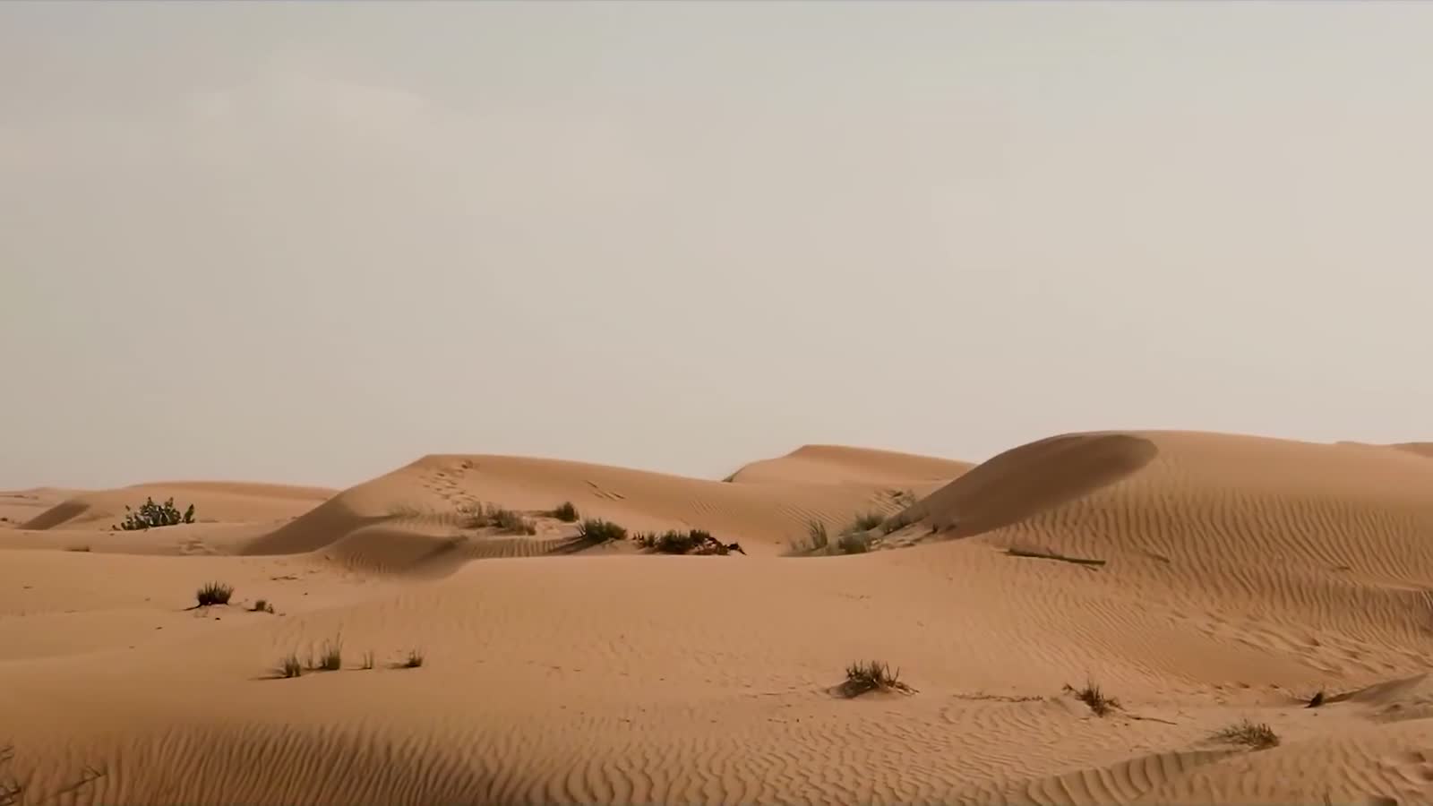 First Lab digital marketing video production in Dubai